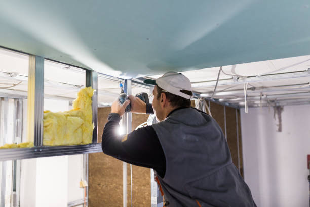 Best Eco-Friendly Insulation in Imperial, CA